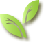 Plant Atlas Logo
