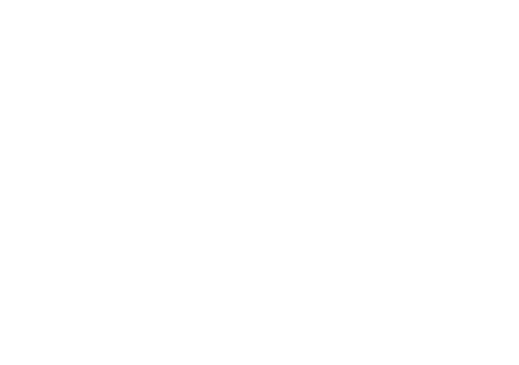 University of South Florida Logo